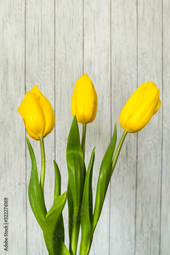 A beautiful boquet of yellow tulips in front of the striped wall
