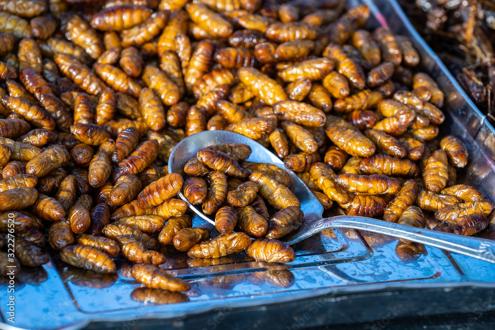 Pupa, silkworm fried food, fried insect larvae snack as exotic in Thailand. Thai cuisine in street food market Pupa, silkworm fried food, fried insect larvae snack as exotic in Thailand. Thai cuisine in street food market