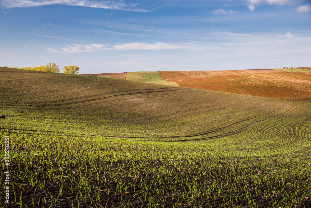 Beautiful colorful autumn landscape with curved green and brown fields and blue sky in south moravia Beautiful colorful autumn landscape with curved green and brown fields and blue sky in south moravia
