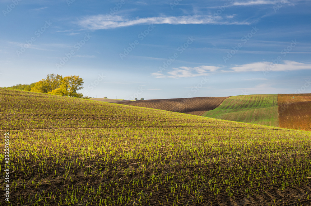 Beautiful colorful autumn landscape with curved green and brown fields and blue sky in south moravia