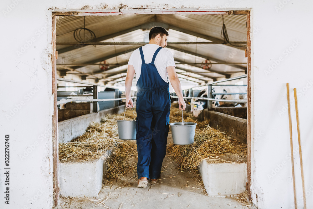 Rear view of handsome caucasian farmer in overall holding buckets in hands with animal food. Stable interior.
