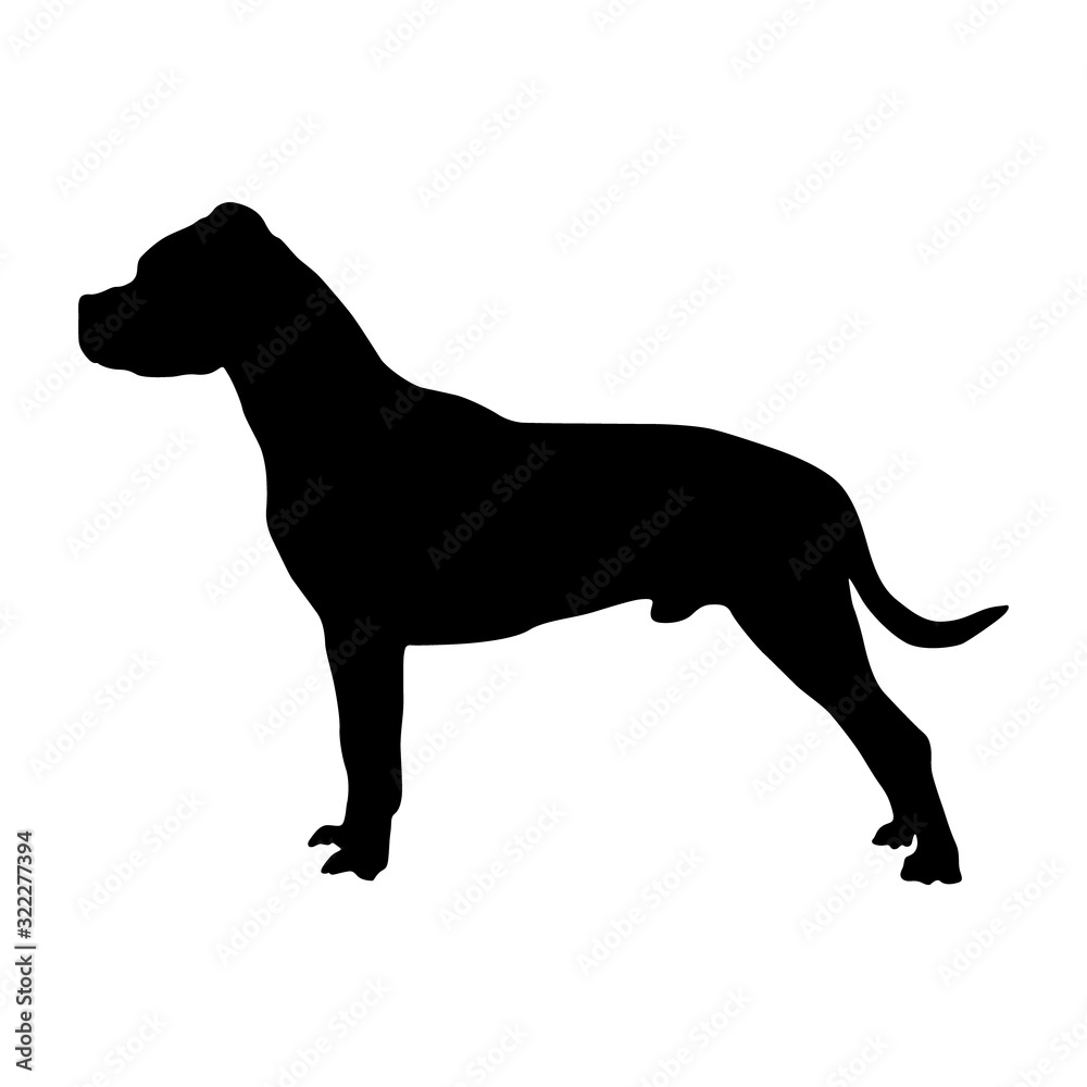 Dogo Argentino Dog Silhouette Vector Found In Map Of South America Dogo Argentino Dog Silhouette Vector Found In Map Of South America