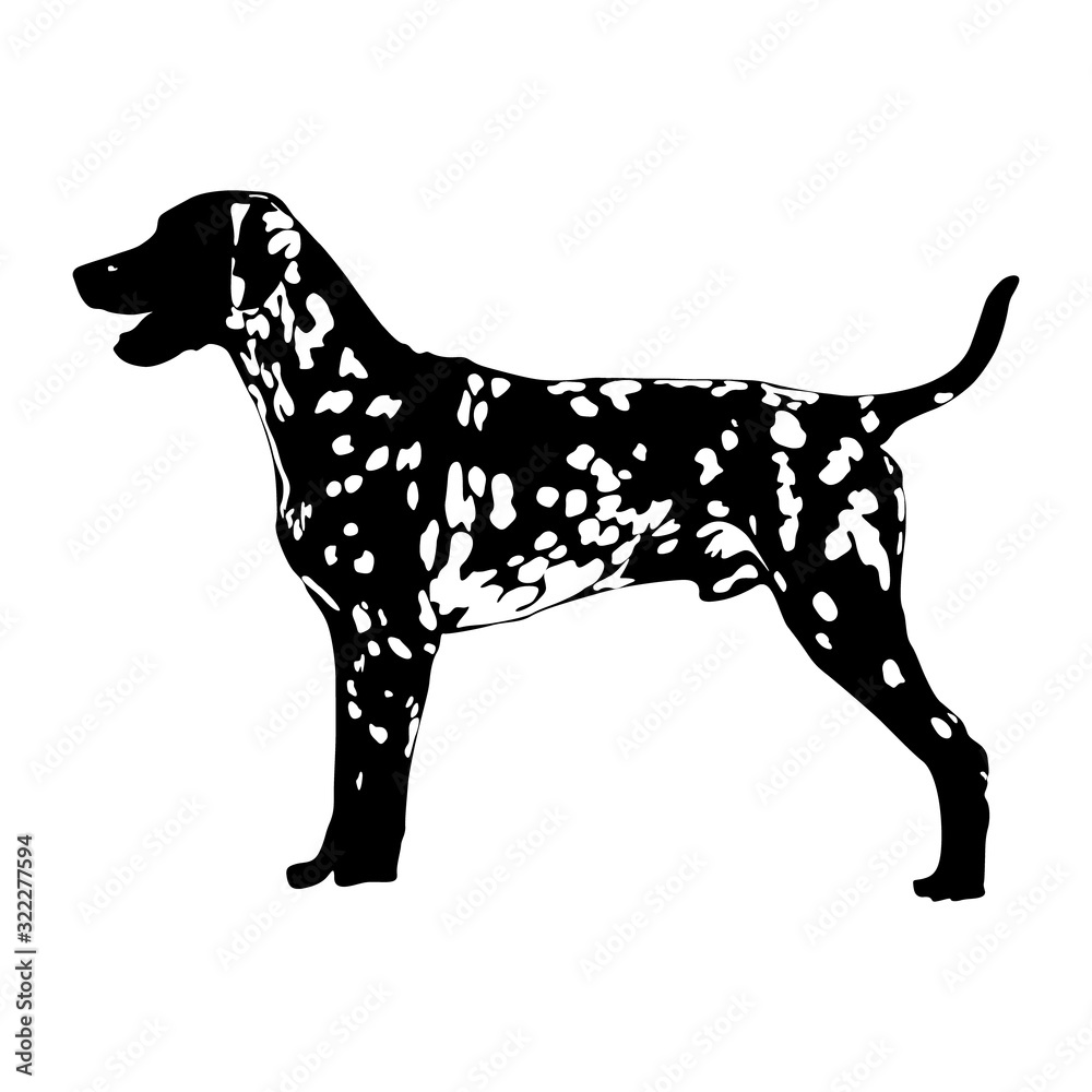 Dalmation Dog Silhouette Vector Found In Map Of Europe