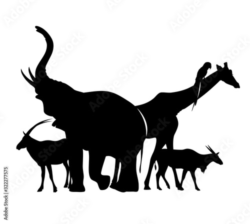 group of african wild animals standing together - black vector silhouette outlines of elephant, giraffe, antelopes and parrot bird