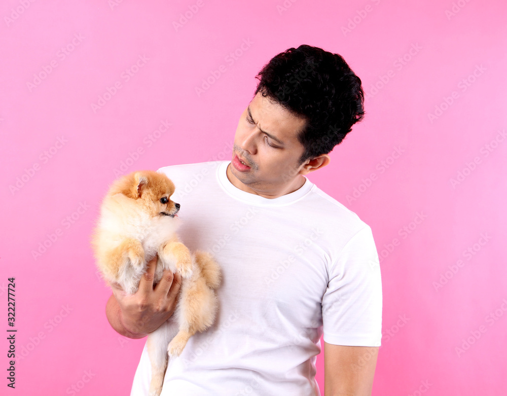 Happy Asian man holding dog pomeranian in hands on a pink background in studio . Happy Asian man holding dog pomeranian in hands on a pink background in studio .