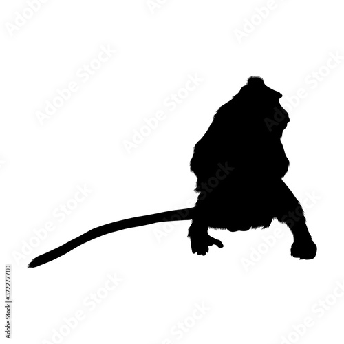 Crab Eating Macaque (Macaca Fascicularis) Silhouette Vector Found In Map Of Asia