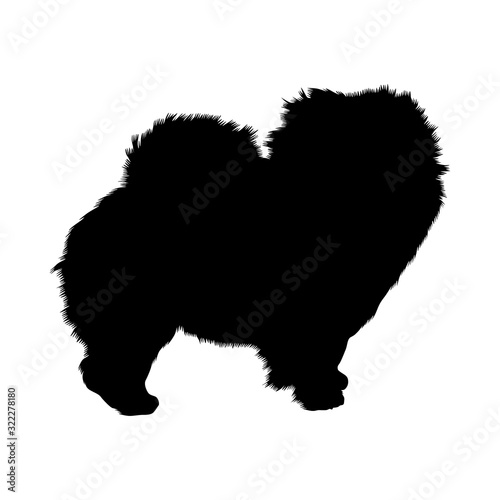 Chow Chow Dog Silhouette Vector Found In Map Of Asia