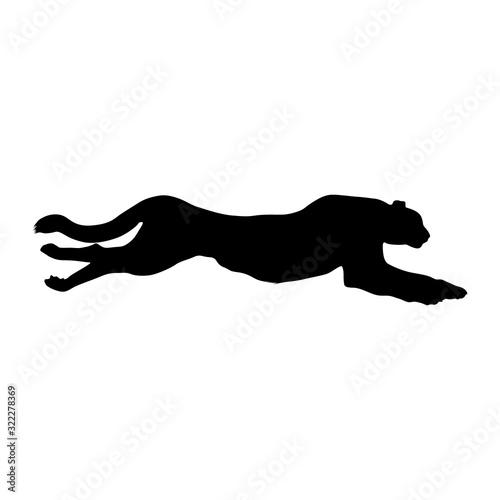 Cheetah (Acinonyx Jubatus) Silhouette Vector Found In Map Africa,Asia And Europe
