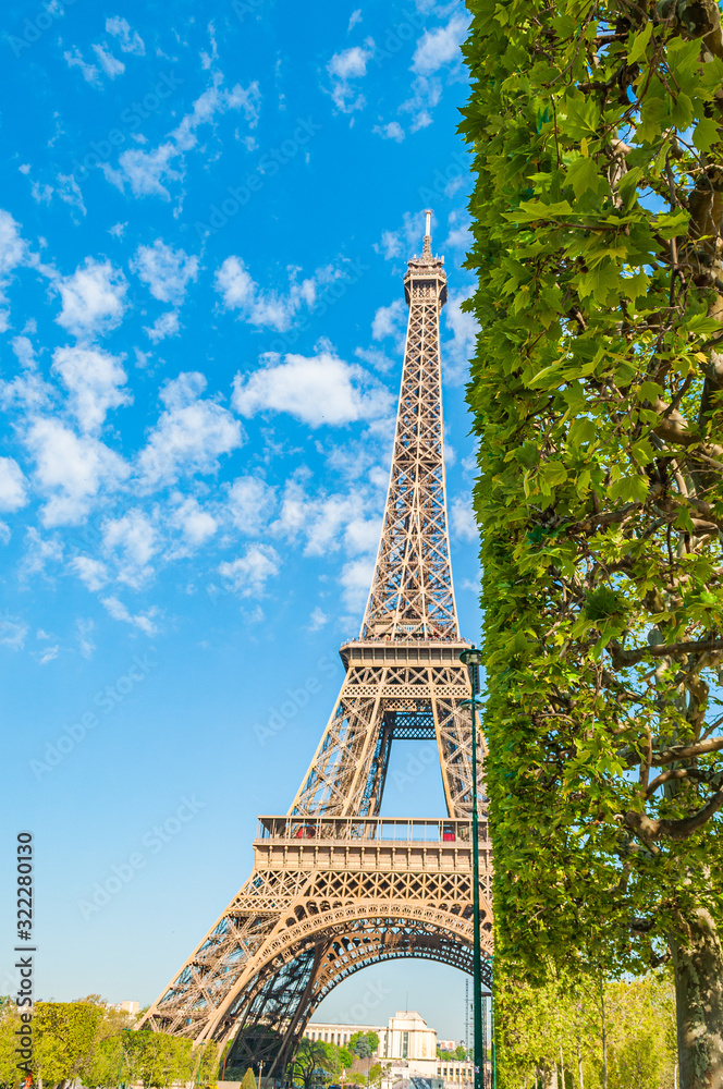 Eiffel tower behind green bush on the right side