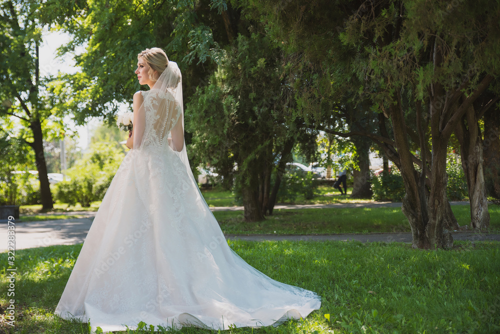 A beautiful girl in a wedding dress stands against the background of columns and nature A beautiful girl in a wedding dress stands against the background of columns and nature