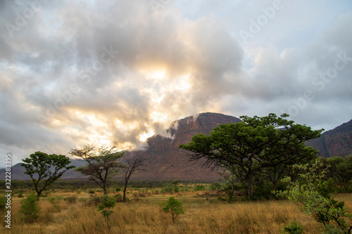 African Savanna Landscape  Natural Park