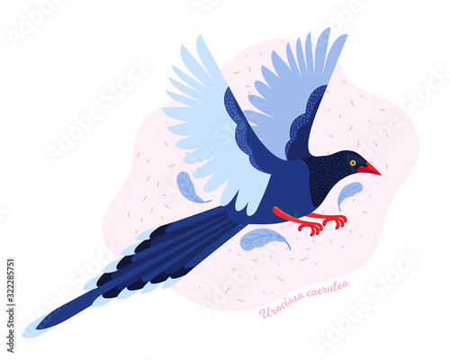 Taiwan azure magpie. Animals Of Taiwan. Urocissa caerulea. Cute Blue bird a flying in the sky. Exotic bird of Asia. Hand drawn vector illustration in Scandinavian style.