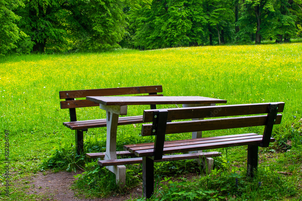 Wooden picnic bench on a green and yellow flowerbed in Zamecky Park, in Hluboka Castle, Hluboka nad Vltavou (Czech Republic) Wooden picnic bench on a green and yellow flowerbed in Zamecky Park, in Hluboka Castle, Hluboka nad Vltavou (Czech Republic)