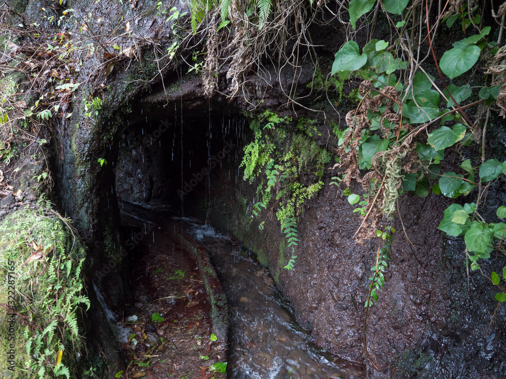 Obraz premium Dark entrance to the tunnel of water duct levada at hiking trail Casa del Monte to Los Tilos at mysterious laurel forest. Beautiful nature reserve on La Palma, Canary islands, Spain