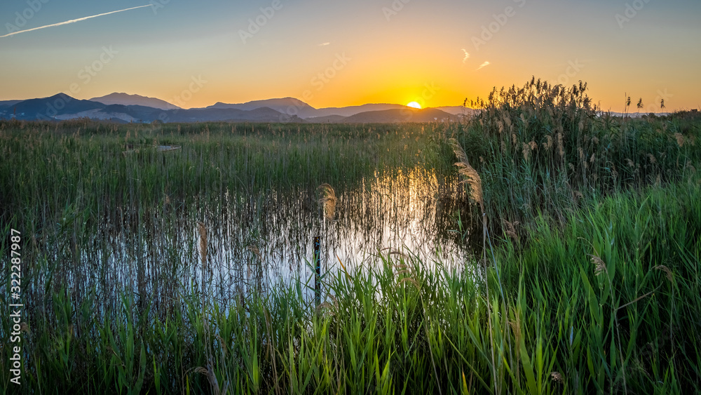 Sunset at La Marjal swamp near the Spanish city of Oliva. In the foreground is water and reeds. On the left you can see a wooden footpath.