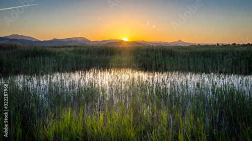 A warm evening mood in the swamp area of La Marjal near the Spanish city of Oliva. In the foreground there is water and reeds and in the background the sun sets behind the mountains.