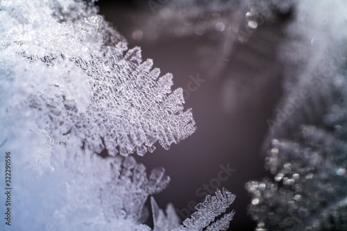 snow and ice feathers on ice © la_toja