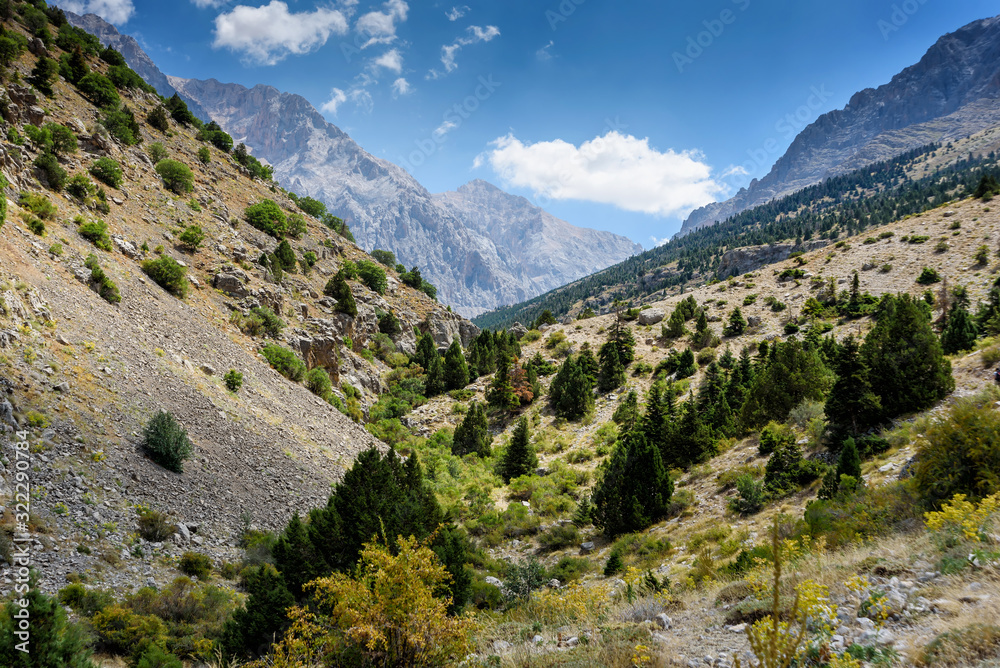 Mountain landscape with trees in the Turkish national Park aladag in summer day Mountain landscape with trees in the Turkish national Park aladag in summer day