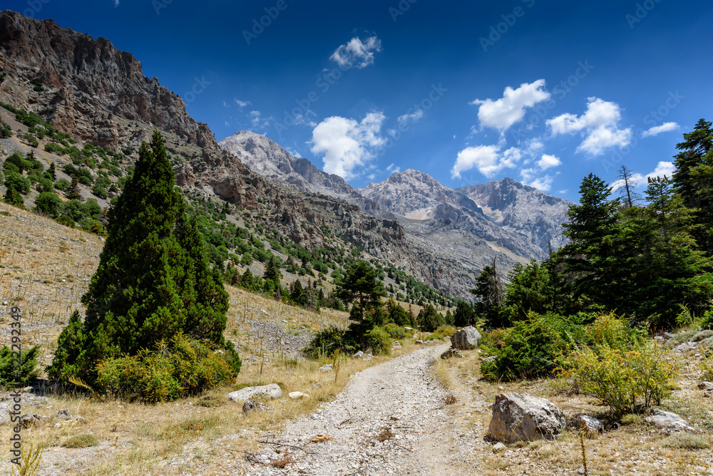 Mountain landscape with trees in the Turkish national Park aladag in summer day