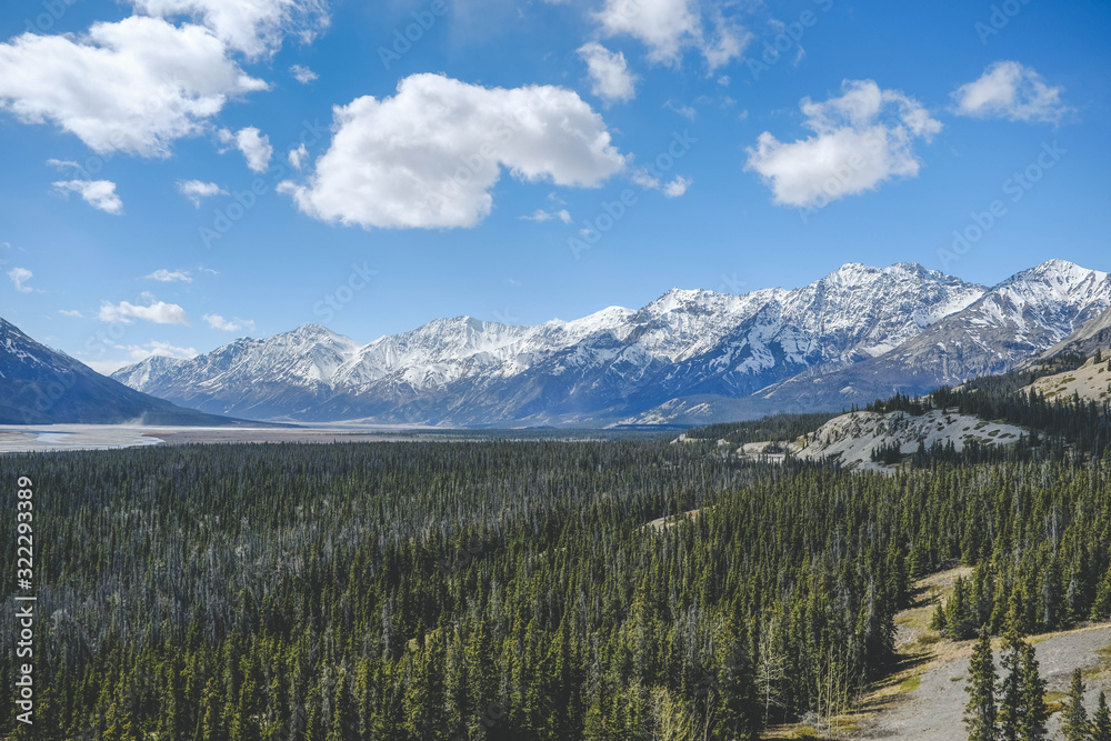 Fototapeta premium Mountains in Alaska