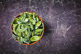 Collard plant: kale leaves on a bowl, copy space