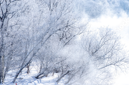 北海道の冬の風景　富良野の樹氷 © 英敏 松本