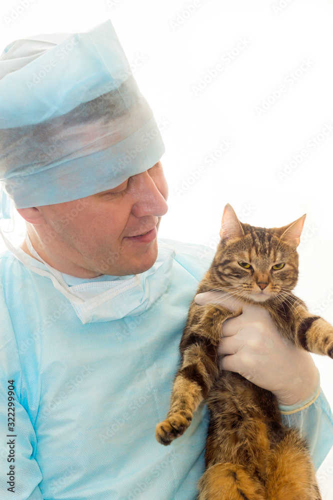 Veterinarian in a sterile disposable clothes with a kitten in his hands