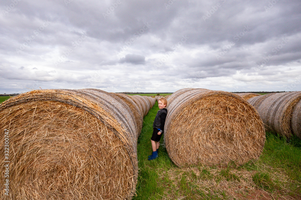 Child playing on long row of round hay bales on overcast day. Childhood on the farm, country life.