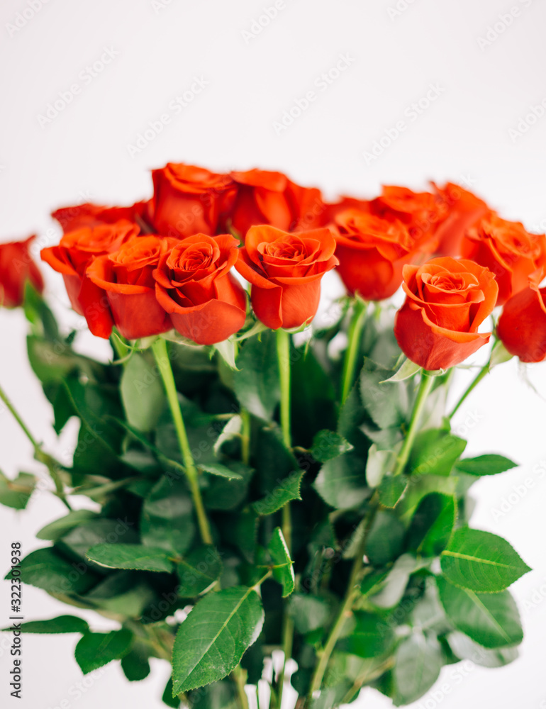 Red Fresh Roses on the white background , selective focus Red Fresh Roses on the white background , selective focus