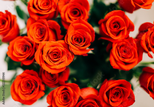 Red Fresh Roses on the white background   selective focus