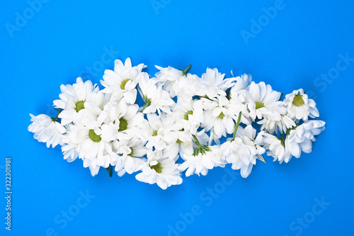 camomiles on a blue background. Daisy hats on a blue background. Natural cosmetic. The concept of natural medicine. flat lay. Chamomile cloud.