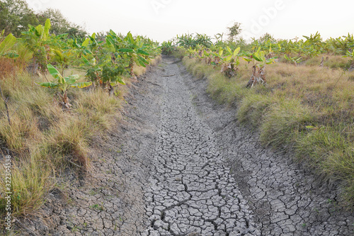 dry cracked earth Dry and broken soil Lack of water, dead trees
