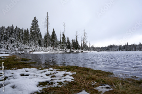 Fototapeta Naklejka Na Ścianę i Meble -  Winter landscape in the harz mountains