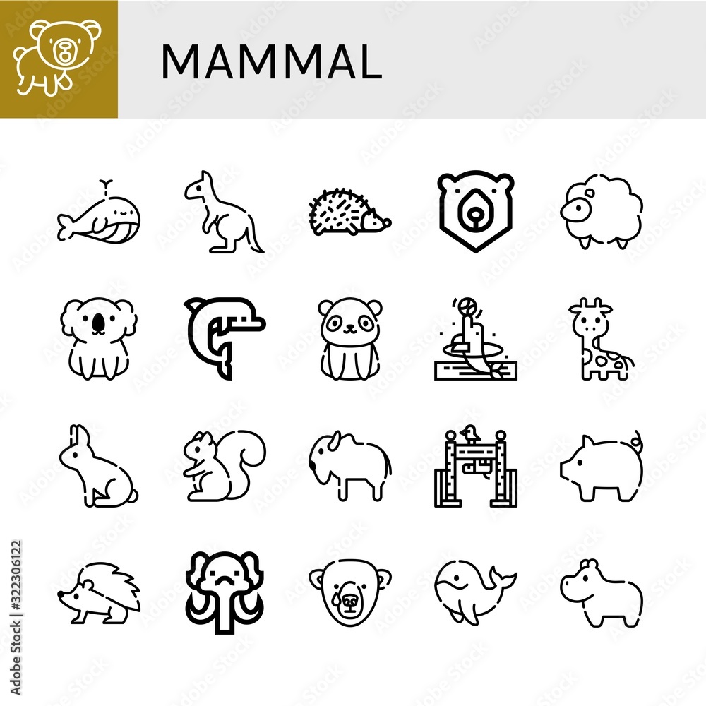 Set of mammal icons