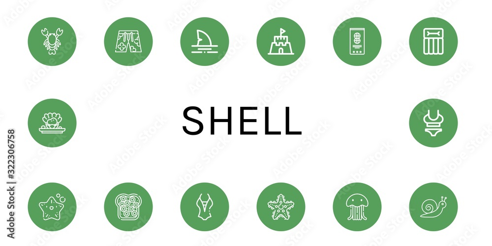 shell icon set shell icon set