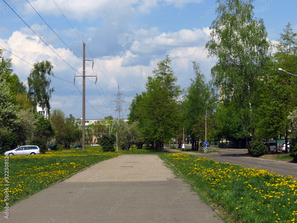 road in the countryside