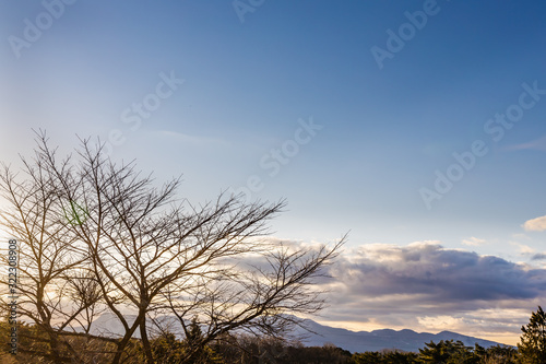 美しい朝焼けの空と雲