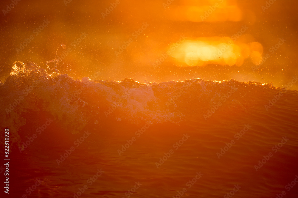 A crashing wave glows in the golden morning sunlight.