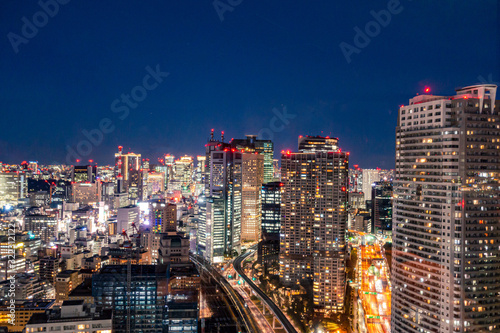 Cityscape of Tokyo Japan at night. © fannrei