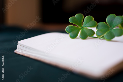 Blank notebook on the table with some green clovers on it.