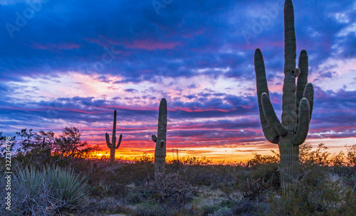Arizona Sunrise With Cactus & Vibrant Sky
