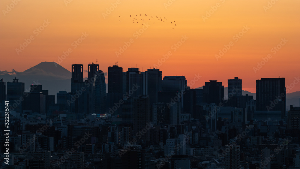 夕焼けを背景に文京区から見た新宿方面のビル群と鳥の群れ