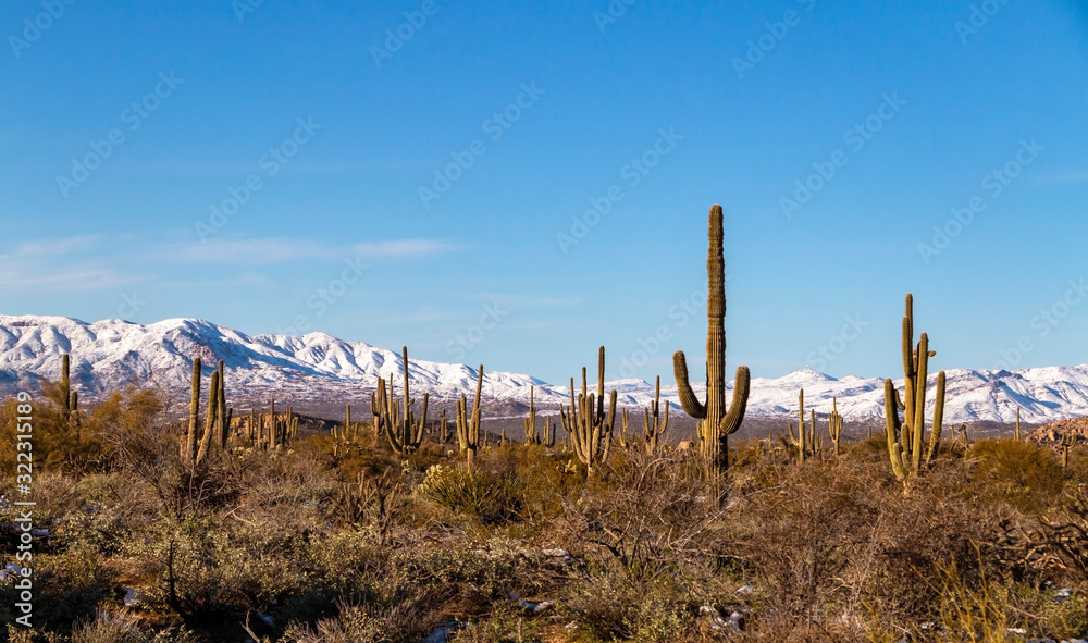 Snow Clad Mountains In The Arizona Desert