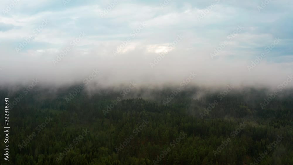 Blue Skies with Thick Foggy Area in a Norwegian Forest Blue Skies with Thick Foggy Area in a Norwegian Forest