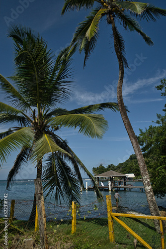 Traumlandschaft auf der karibischen Seite in Panama, mit Kokospalmen und einem einsamen Steg. Fernweh ruft © Angelika Beck