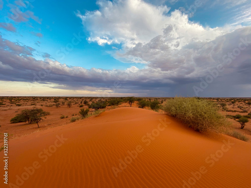 Kalahariwüste, Namibia
