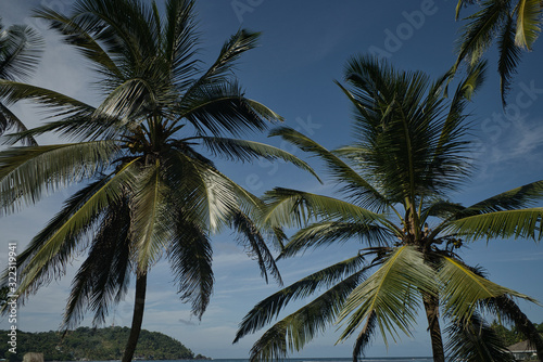 Fototapeta Naklejka Na Ścianę i Meble -  Traumlandschaft auf der karibischen Seite in Panama, mit Kokospalmen und einem einsamen Steg. Fernweh ruft