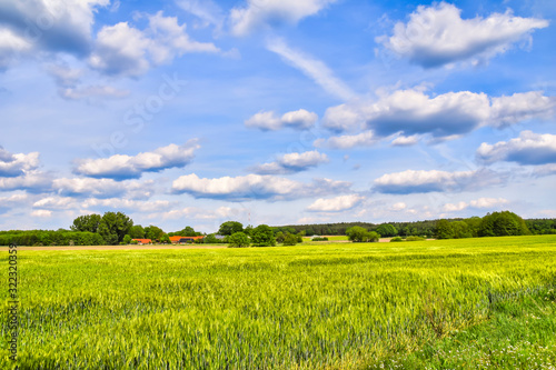 View over green fields to trees on the horizon under a blue and cloudy sky in Lower Saxony  Germany.