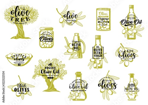 Olive oil, tree and fruit sketch lettering of farm food vector design. Green olives and branches, oil bottles, jar, can and bowl with pickled and stuffed fruits. Cooking ingredients, seasonings