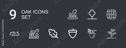 Editable 9 oak icons for web and mobile